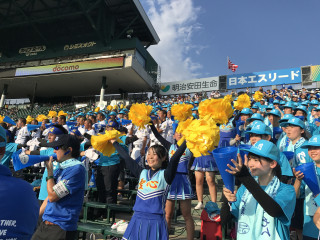 H29夏甲子園応援1-⑪