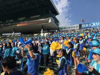 H29夏甲子園応援1-⑩